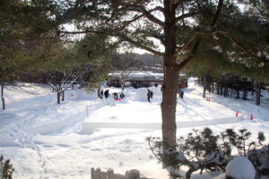 イグルーを作る子どもたち