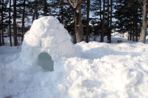イグルー