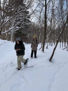 森の中をスノーシューをはいて歩く人々