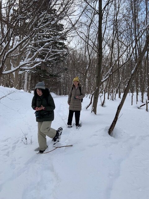森の中をスノーシューをはいて歩く人々