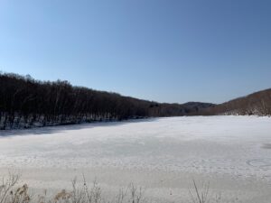 雪の積もった池