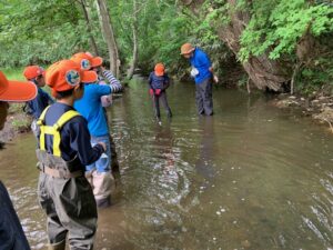 環境調査する子供たち