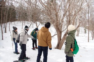 スノーシューを楽しむ参加者