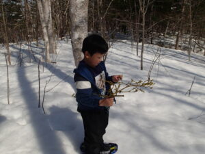 ヤドリギを観察する子ども