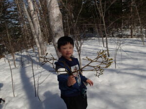 拾ったヤドリギを観察する子ども