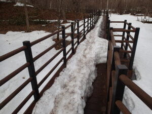 雪が残る木道