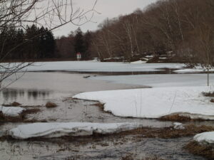 水面が現れた池