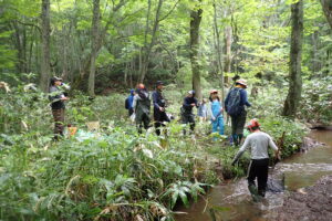川で調査する子ども