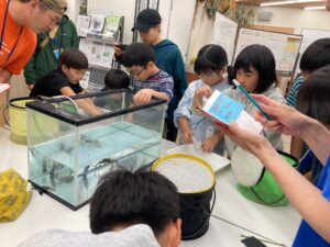 計測、同定する子供たち