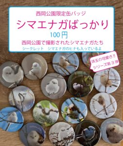 シマエナガ第3弾ガチャ