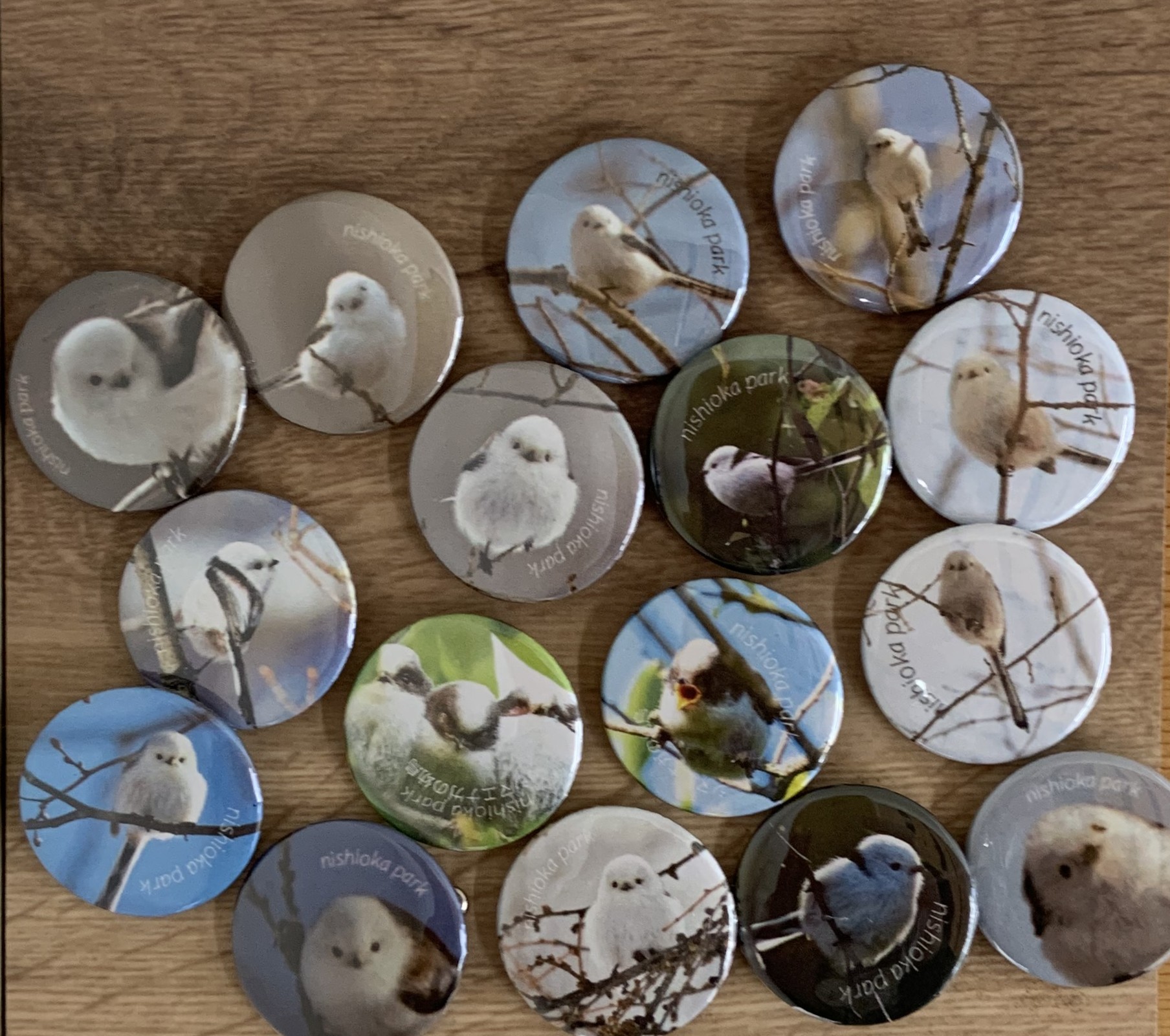 シマエナガの缶バッジ