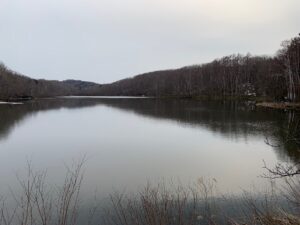 氷がほとんど解けた池