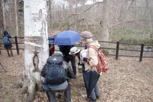 集まって観察する参加者