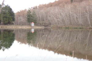 風景が移った池