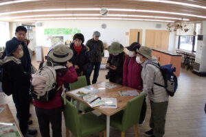 樹木の花の説明を聞く参加者