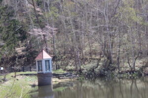 池のほとりの取水塔と桜