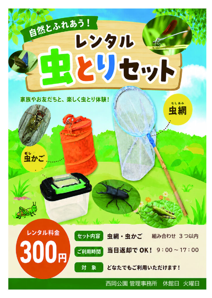 レンタル虫取りセットチラシ