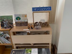 ギンリョウソウの展示