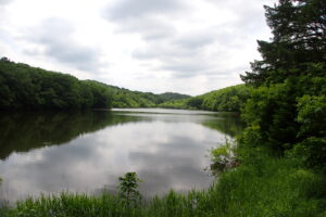 池の様子