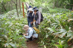 植物を観察する参加者