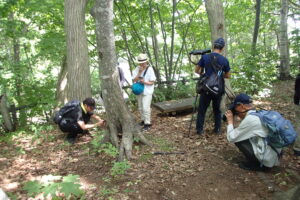森の中を散策する参加者