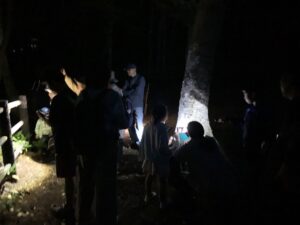 ナイトウオークの様子