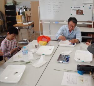 標本を作る子供たち