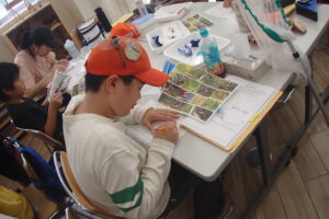 トンボクイズを楽しむ子供