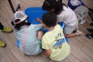 スナヤツメを観察する子供たち