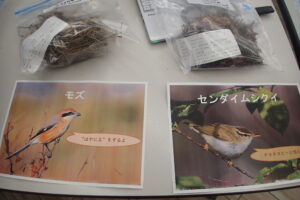 鳥の巣