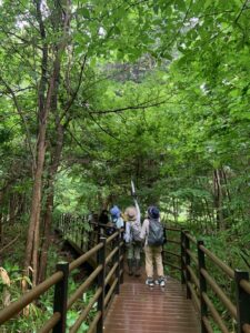 観察する参加者