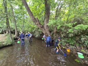 川で生き物探しをする子供