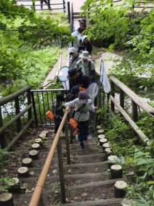 森をみんなで探検する子供たち