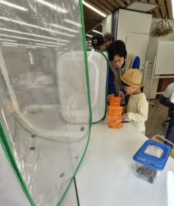 捕まえた虫の観察をする様子
