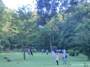 トンボ採りをする子供たち