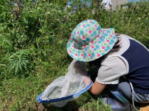 トンボ採りをする子供たち