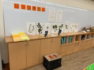 「ひっつきむし」の展示