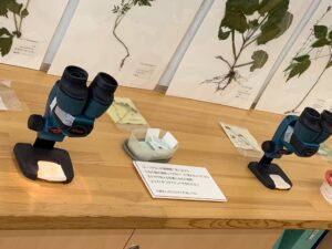 展示室の顕微鏡