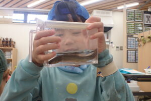 魚の観察をする子供