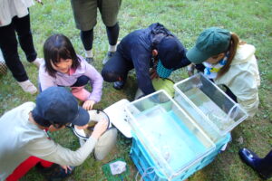 水棲生物を観察する子どもたち