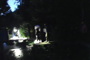夜の公園を歩く参加者の皆さん