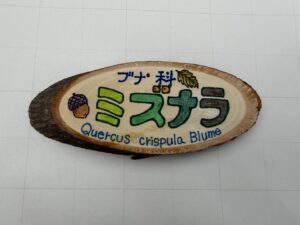 樹名板