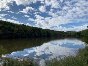 池に映る青空と雲