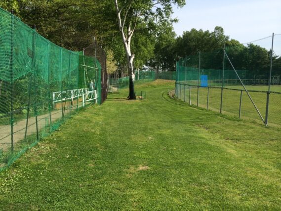 「パークゴルフ場がオープン！」の画像