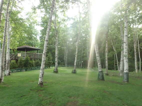 「施設利用中止のお知らせ」の画像