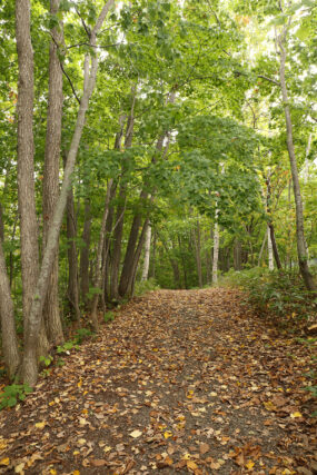 「西岡中央公園をご利用の皆さまへ」の画像