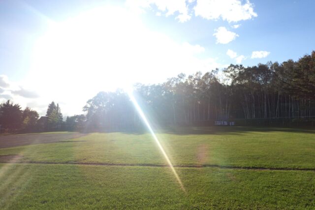 「公園園路の一部開放について」の画像