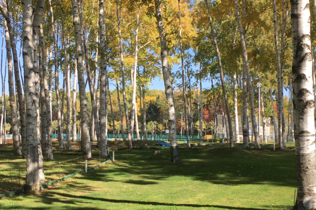 「西岡中央公園の施設利用について（6月19日更新）」の画像