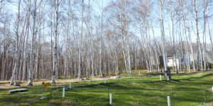 パークゴルフ場