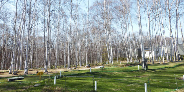 「パークゴルフ場及びテニスコートの利用期間について」の画像